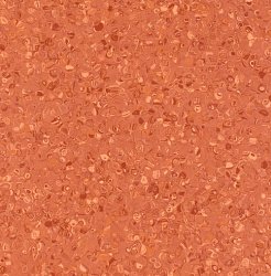 Linoleum Grabo Fortis Coral (orange)