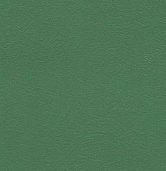 Linoleum Graboflex Start 4000-660-3 (green)